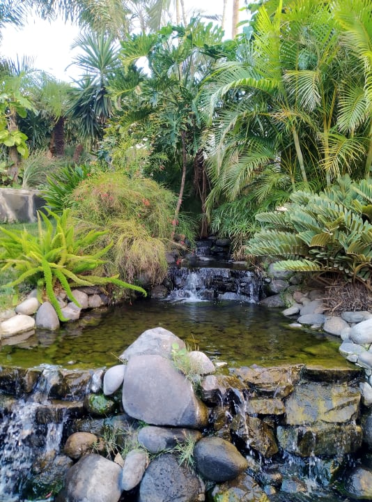 Gartenanlage allsun Hotel Lucana