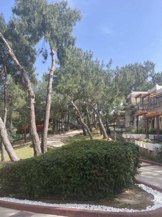 Gartenanlage Bodrum Park Resort