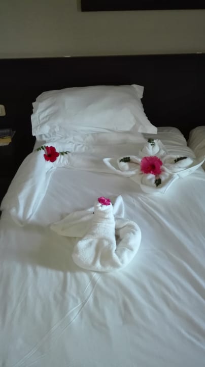 Zimmer Nozha Beach Resort & Spa