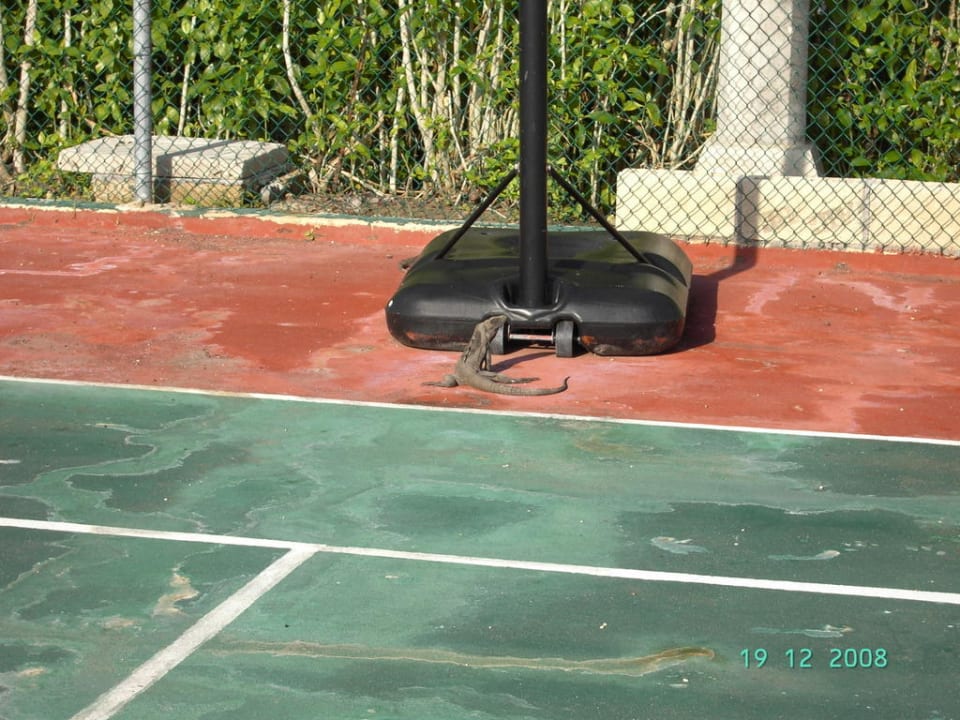 Tennis Courts Grand Oasis Tulum Riviera - All Inclusive