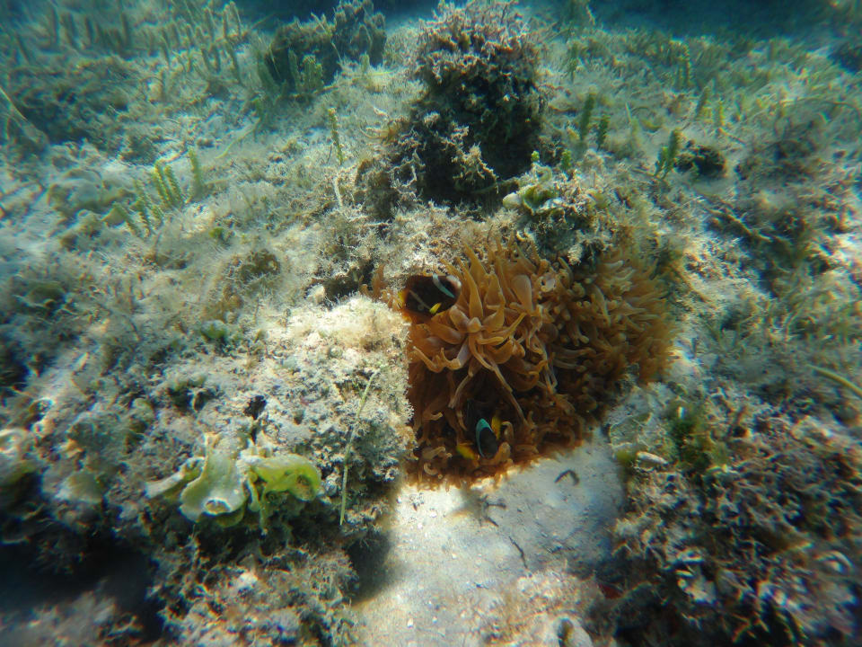 Strand Steigenberger Aqua Magic