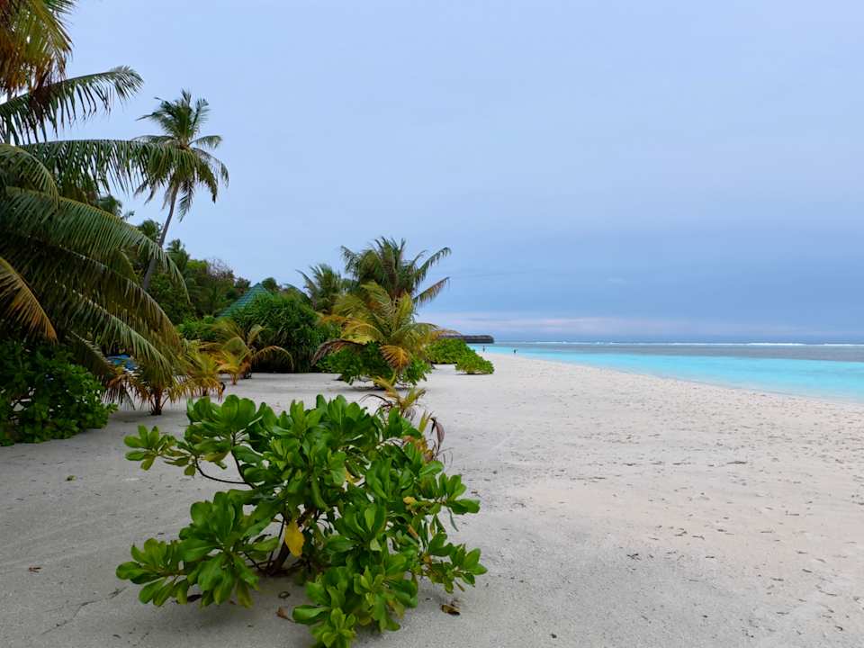 Strand Meeru Maldives Resort Island