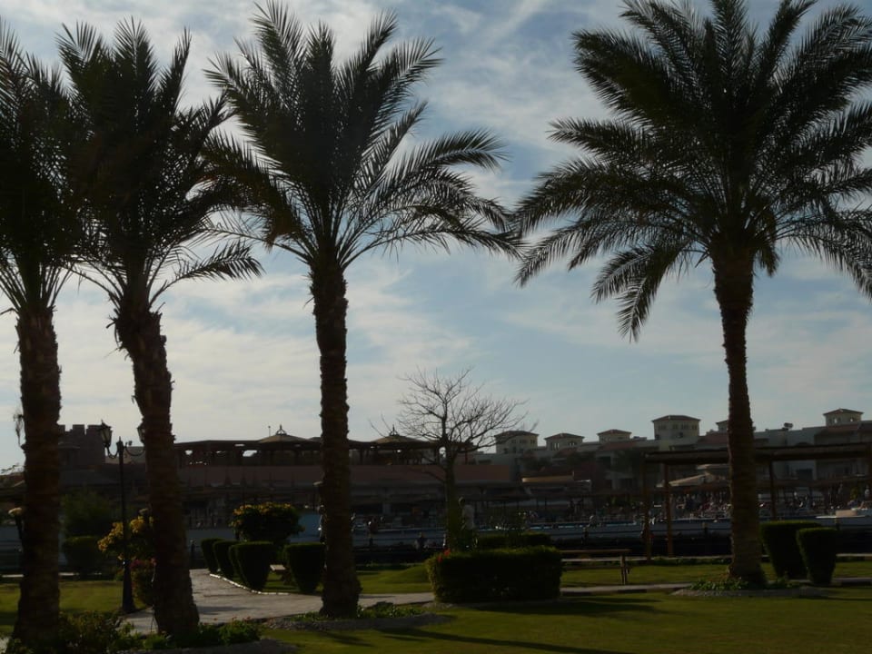 View garden Pickalbatros Dana Beach Resort - Hurghada