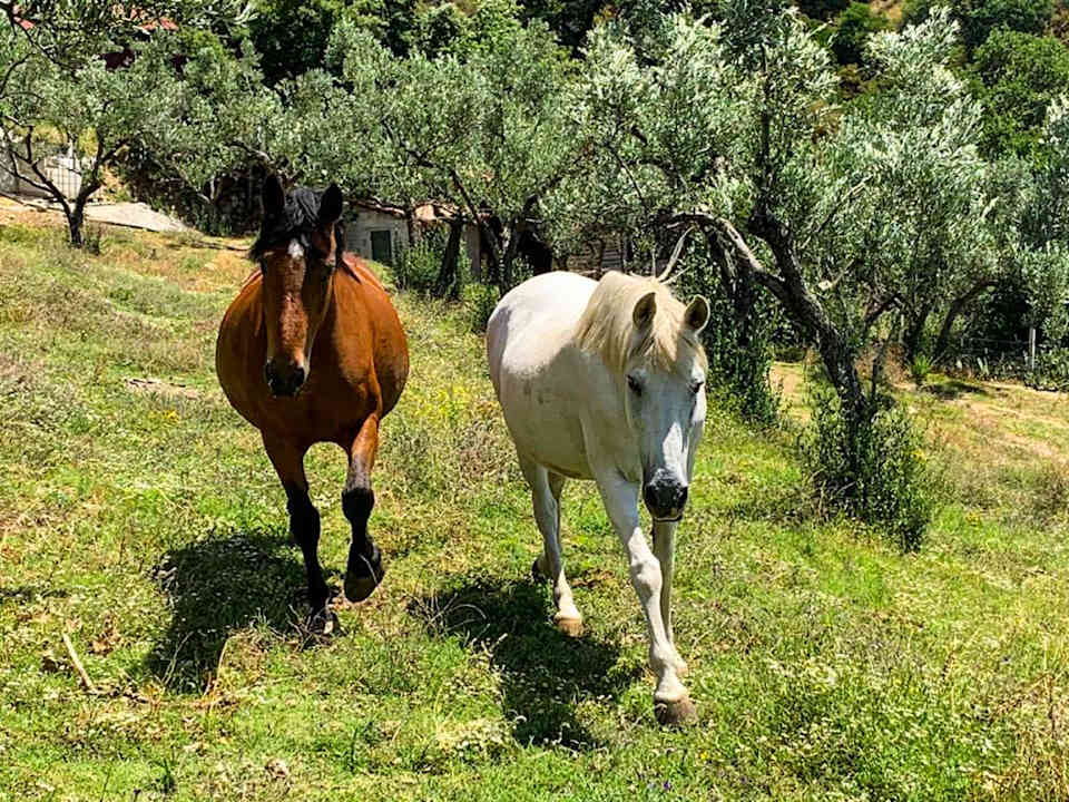 Sonstiges Agriturismo Podere Pansera