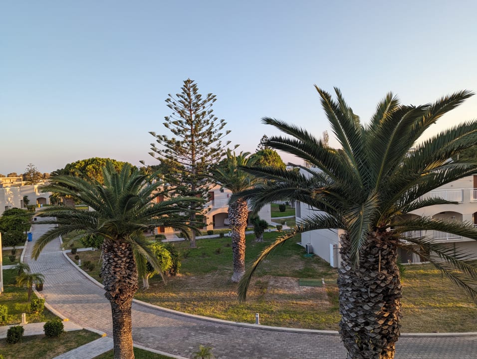 Ausblick Hotel Akti Coast Club Marmari Kos