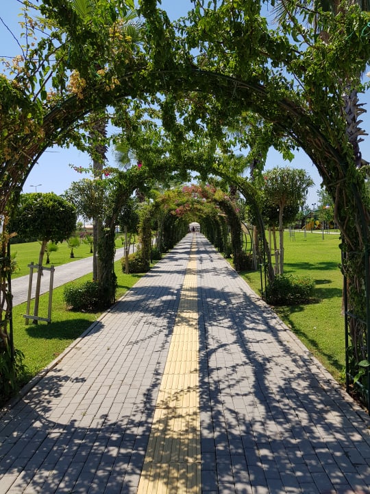 Garten Royal Seginus