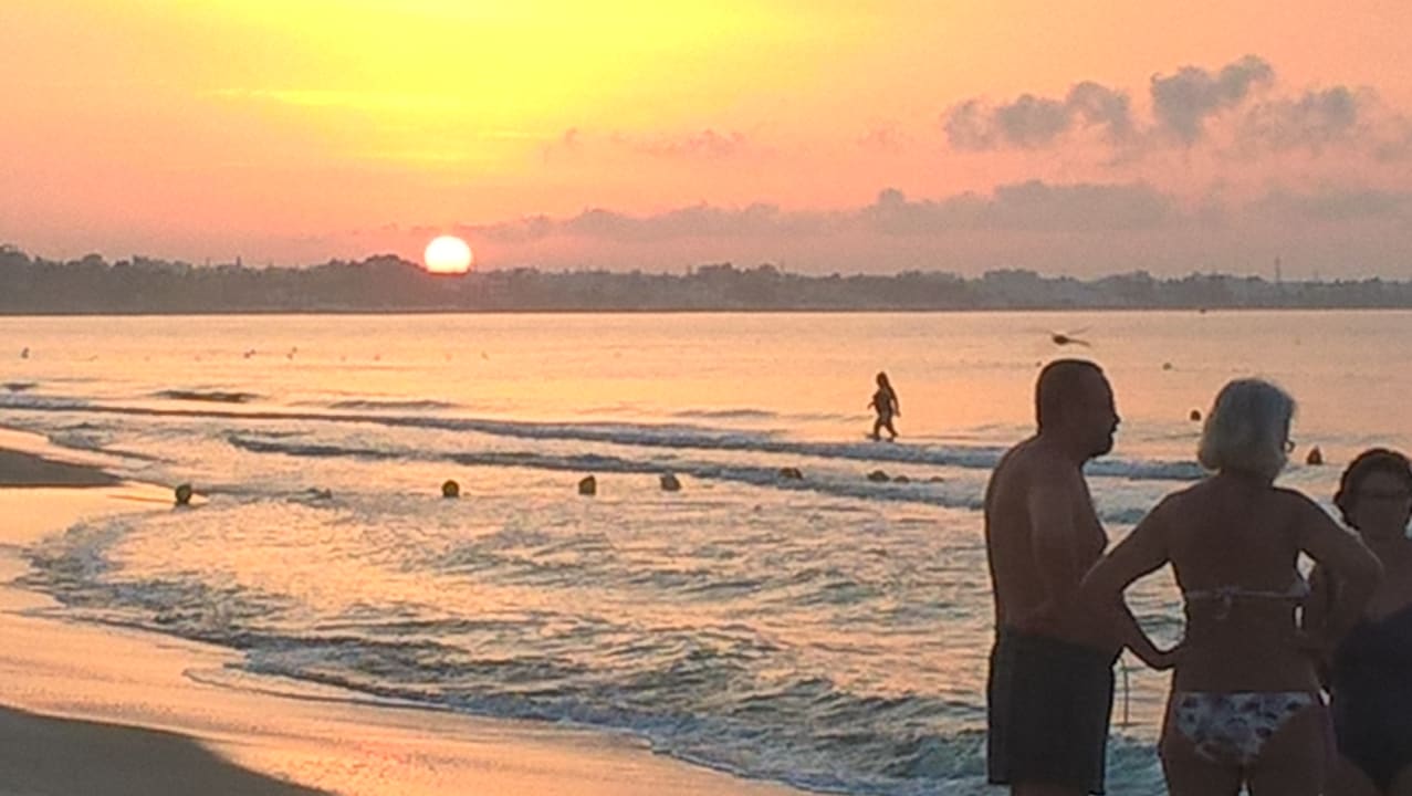 Strand The Orangers Beach Resort and Bungalows