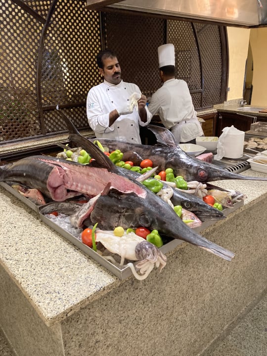 Gastro Hotel JAZ Makadi Star & Spa