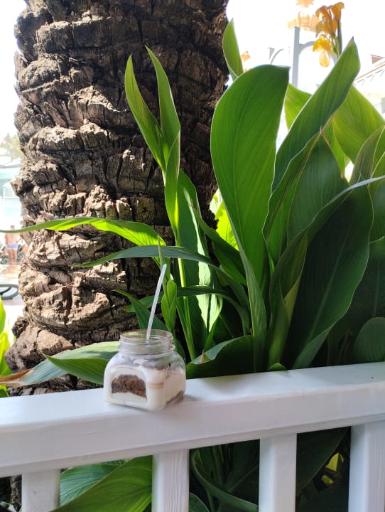 Gartenanlage Well Palace Side