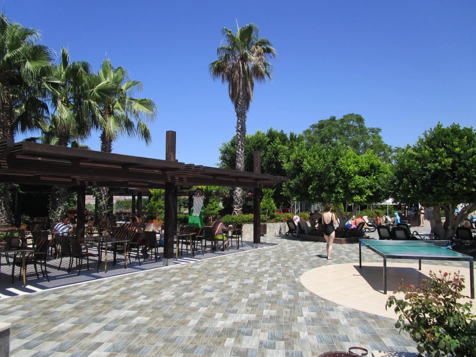Poolbar Alba Resort Hotel