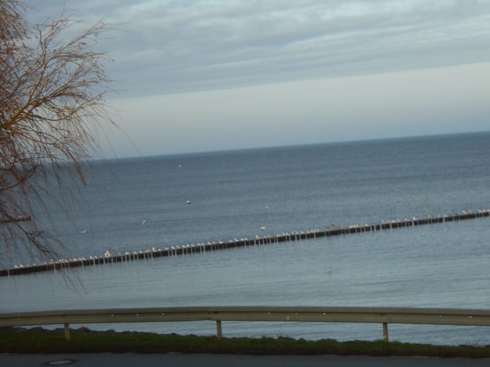 Ausblick vom Zimmer Pension Haus am Deich