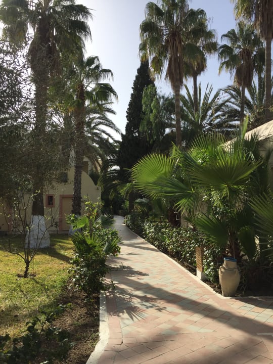 Gartenanlage Hotel Paradis Palace