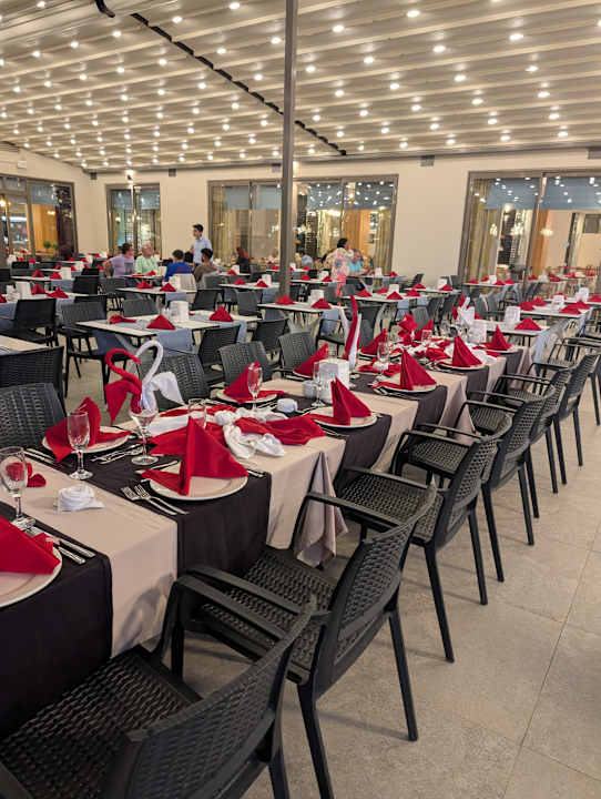 Gastro Seashell Vega