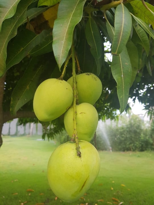 Außenansicht Vista Sol Punta Cana