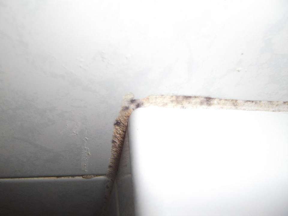 Beispiel für Fugenschimmel im Bad Hotel Dedalos Beach