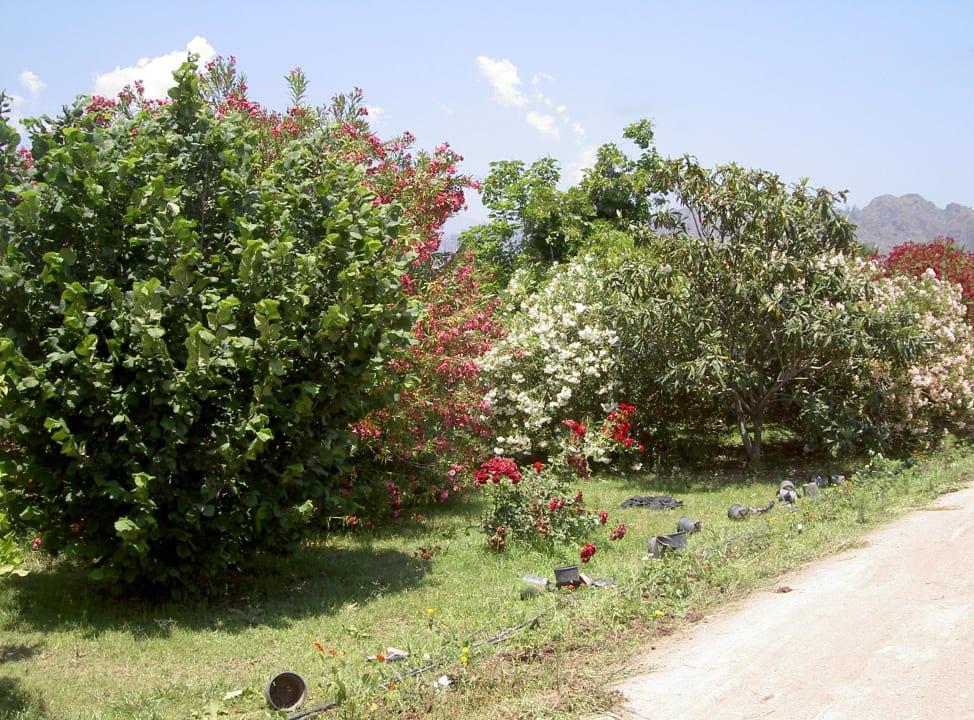 Sehr schöner Garten vom Hotel Hotel Anatolia Resort