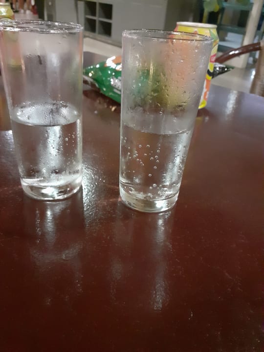 Lobby Hotel Orfeus Park