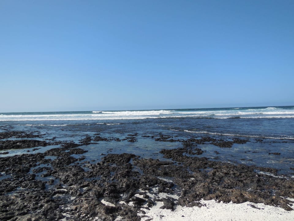Nur gestein keine bade möglichkeit Pierre & Vacances Fuerteventura Origo Mare Resort