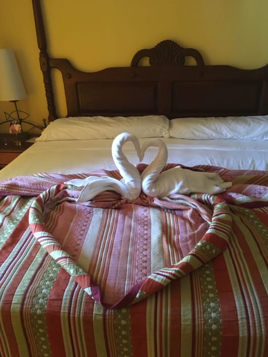 Zimmer Hotel Playa Pesquero