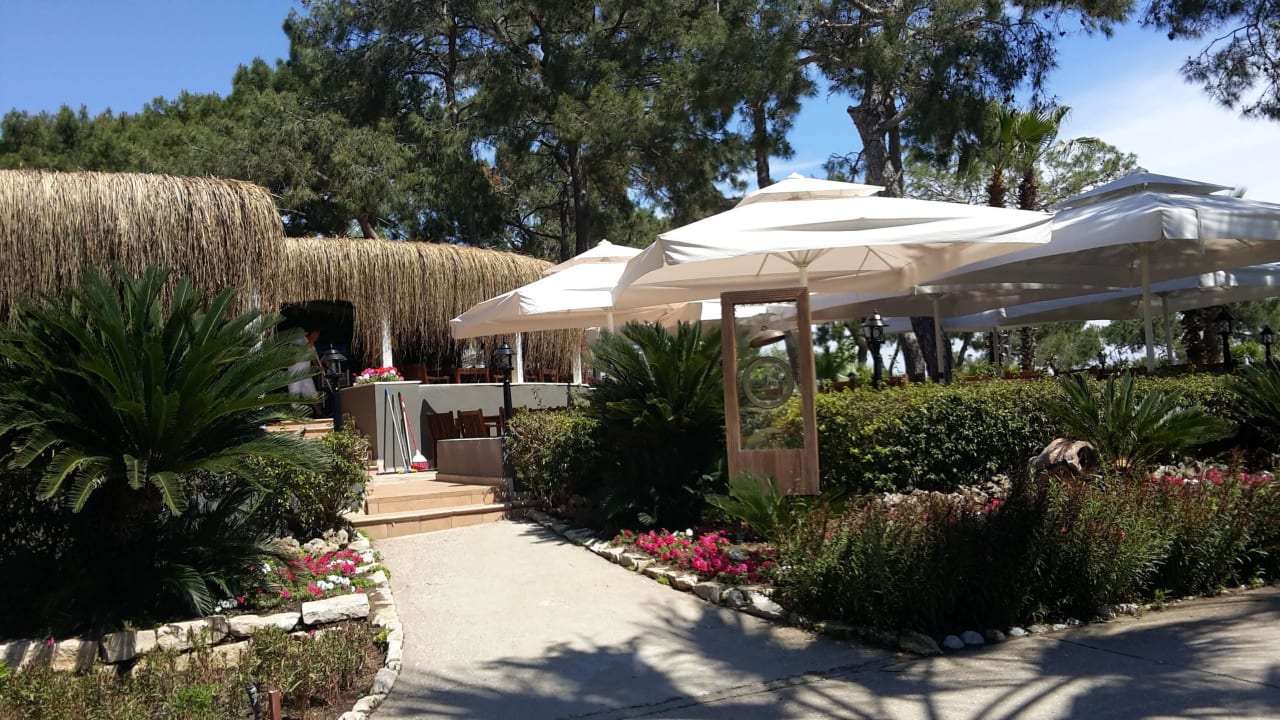 Mangal Restaurant am Strand Balmy Foresta