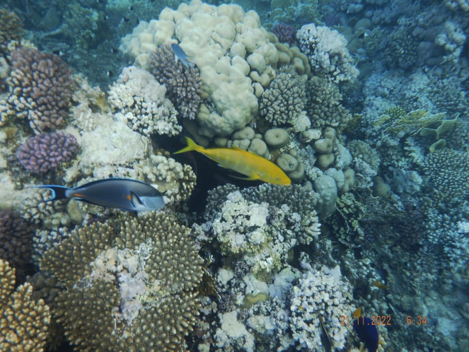 Sport & Freizeit Casa Mare Resort