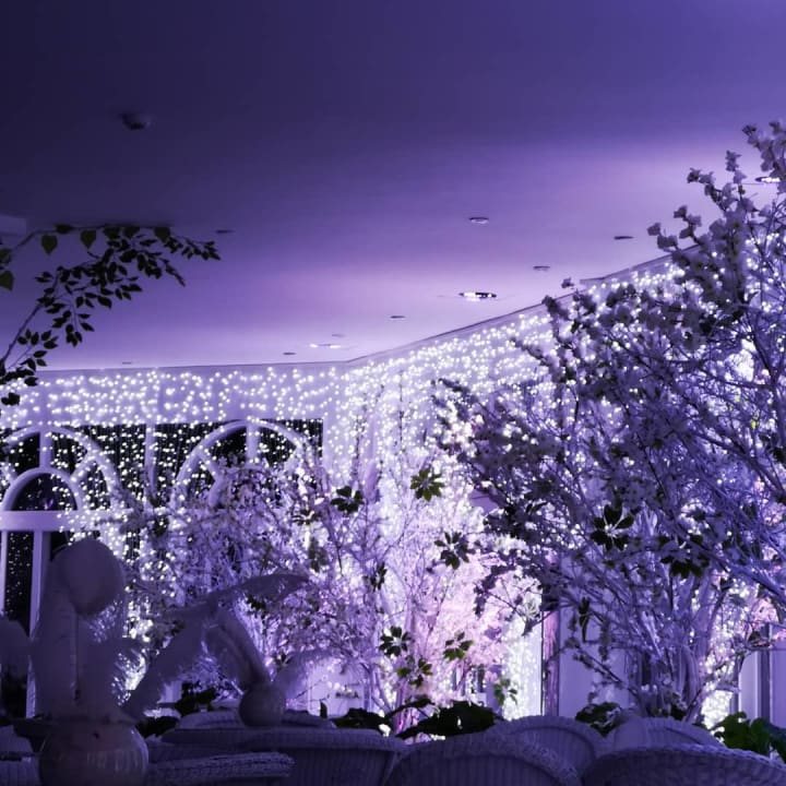 Sonstiges Desert Rose