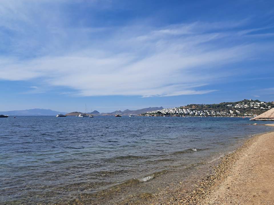 Strand Paloma Family Club