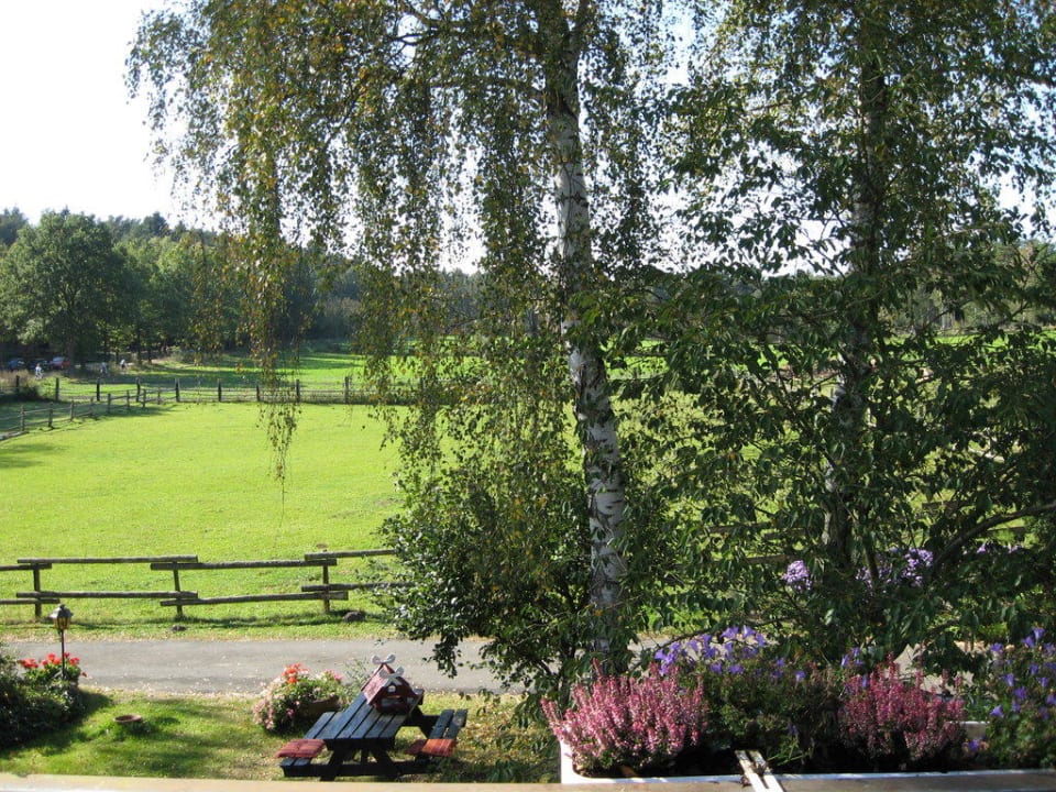Blick vom Balkon Landhaus Calluna