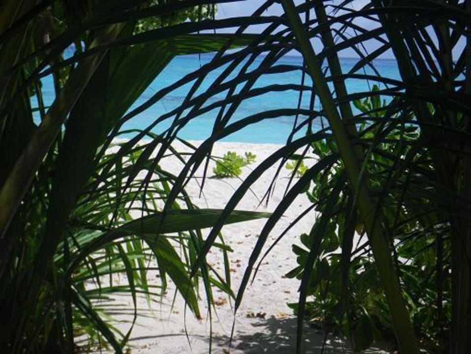"Durchblick" Kuramathi Maldives