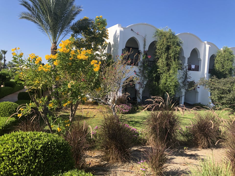 Außenansicht Hotel Gorgonia Beach Resort