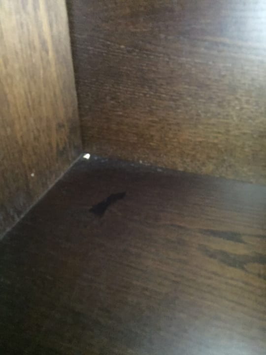 Zimmer allsun App.-Hotel Orient Beach