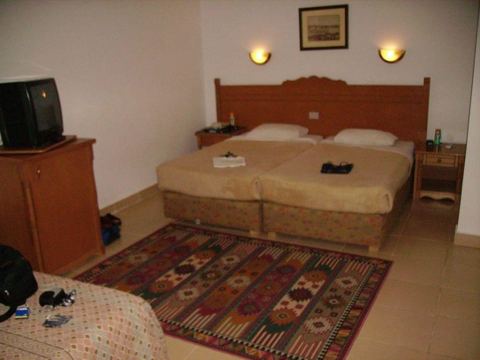 Junior-Suite im Beach Albatros Beach Albatros Resort