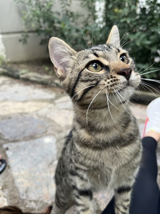 Sonstiges Sherwood Exclusive Kemer