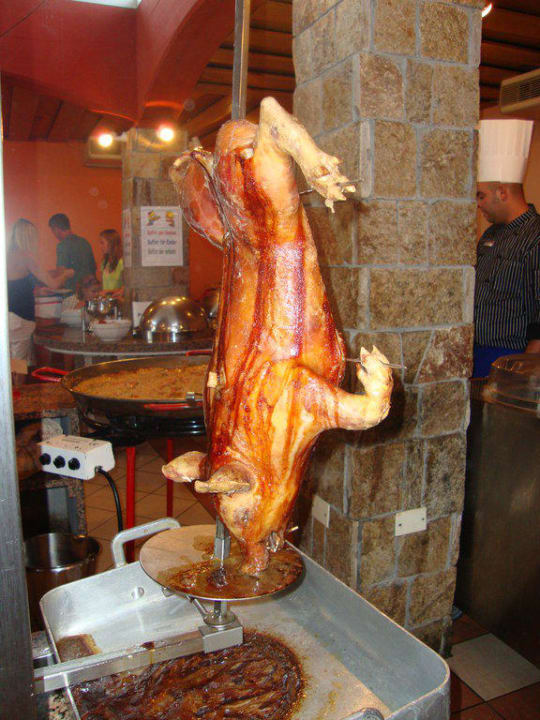 Spannferkel Tirreno Resort