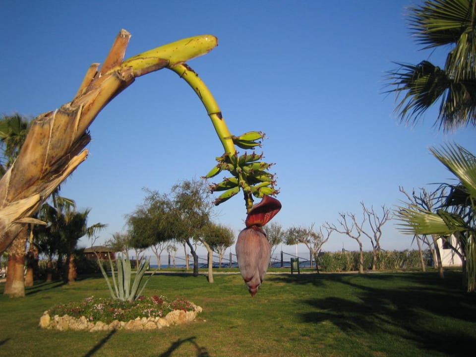 Limra Limak Limra Hotel & Resort