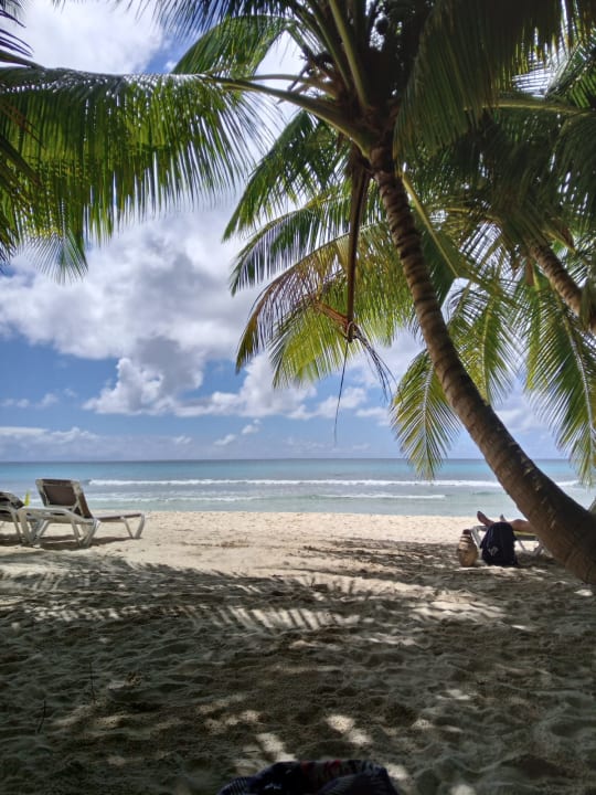 Strand Grand Palladium Punta Cana Resort & Spa
