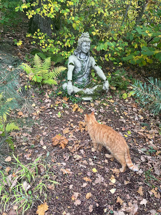 Gartenanlage Spirit & SPA Hotel Birkenhof am Elfenhain