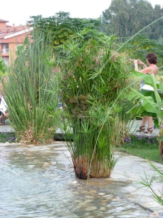 Mediterran Restaurant Can Garden Resort