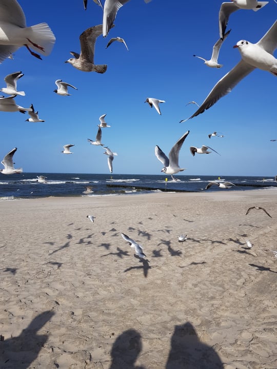 Strand Marine & Ultra Marine