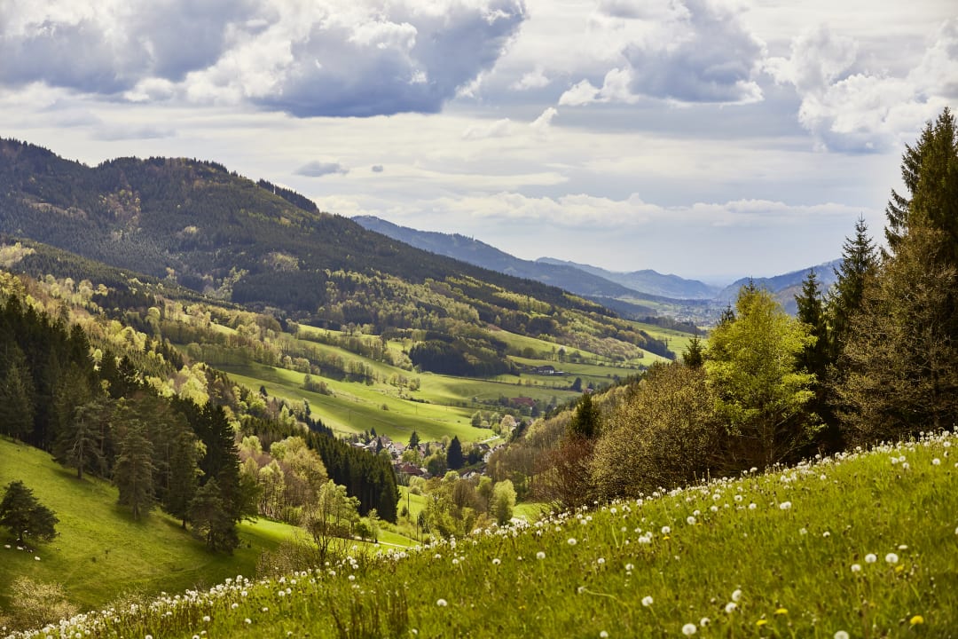 Ausblick ElzLand Hotel Pfauen