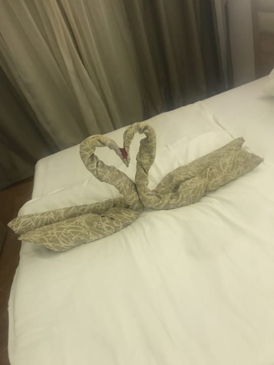 Zimmer Beach Albatros Resort