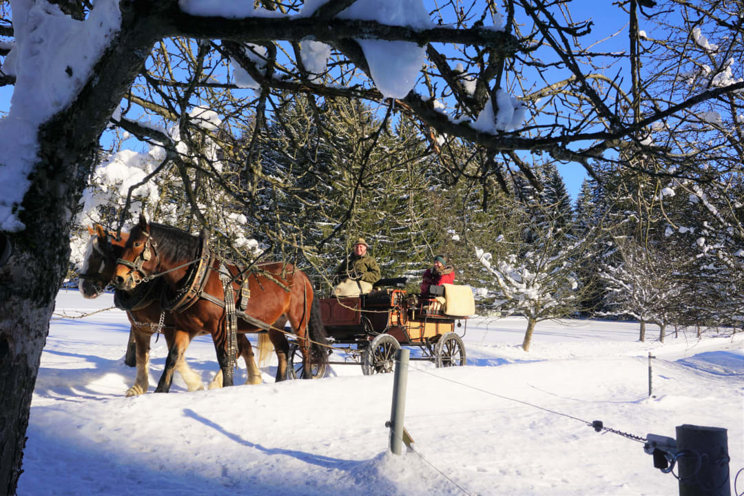 Sport & Freizeit Bayerwald-Ferienhof Schmid