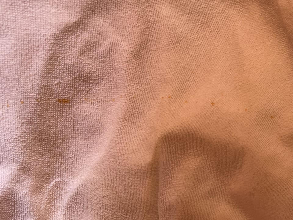 Zimmer Alp Pasa Hotel - Special Class