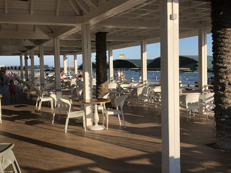 Gastro Papillon Belvil