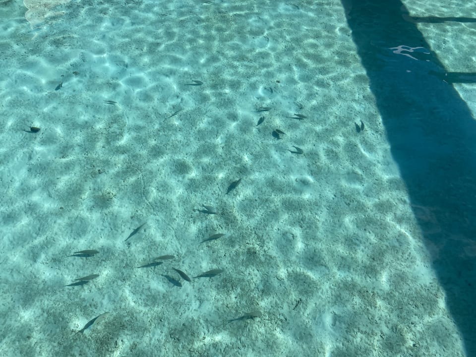Strand NH Collection Maldives Havodda Resort
