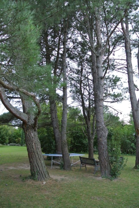 Grundstück mit Tischtennisplatte Guesthouse Mas la Provence