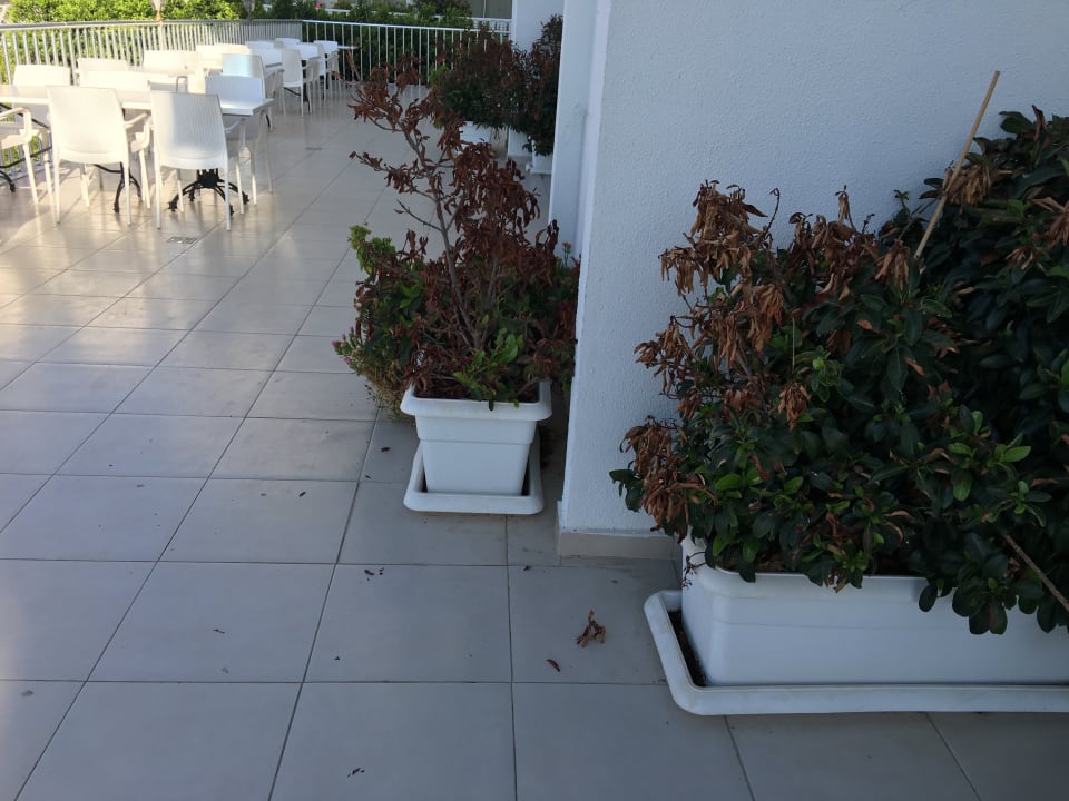 Sonstiges Palm World Side Resort & Spa
