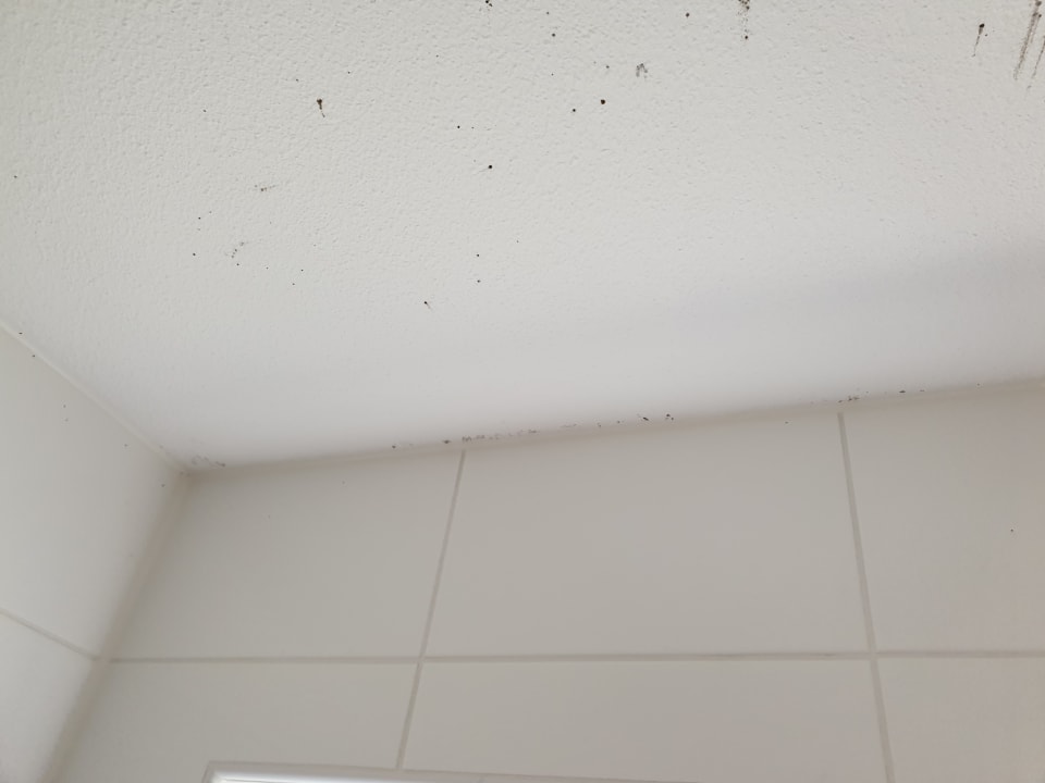 Sonstiges Landal Beach Resort Ooghduyne