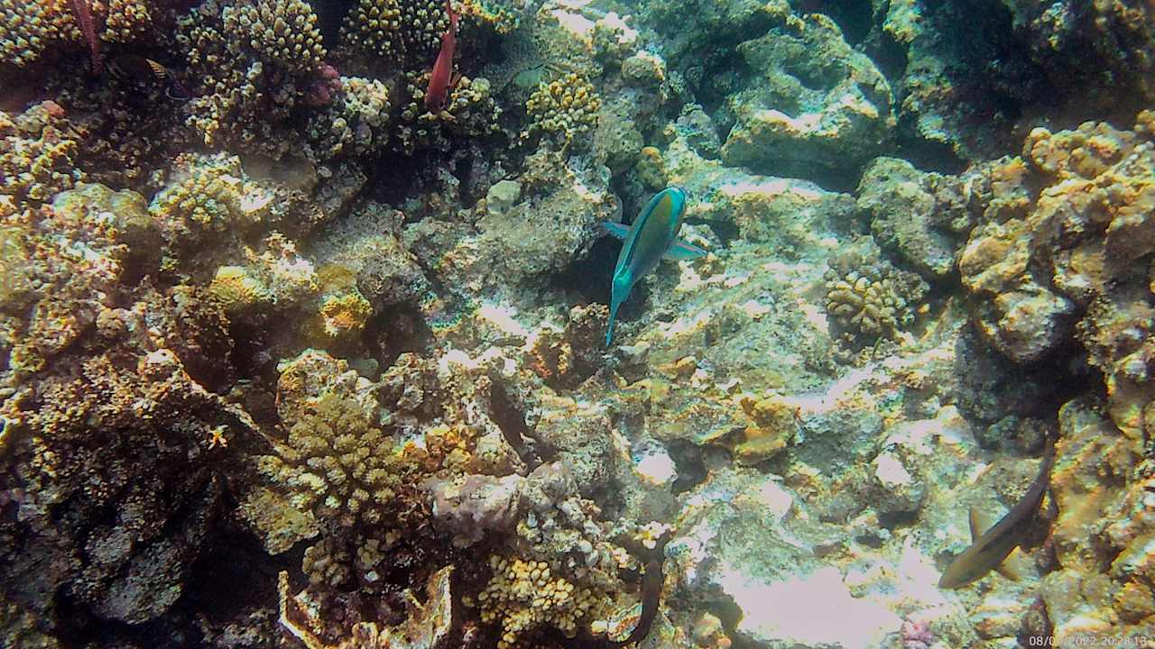 Sport & Freizeit Three Corners Happy Life Beach Resort