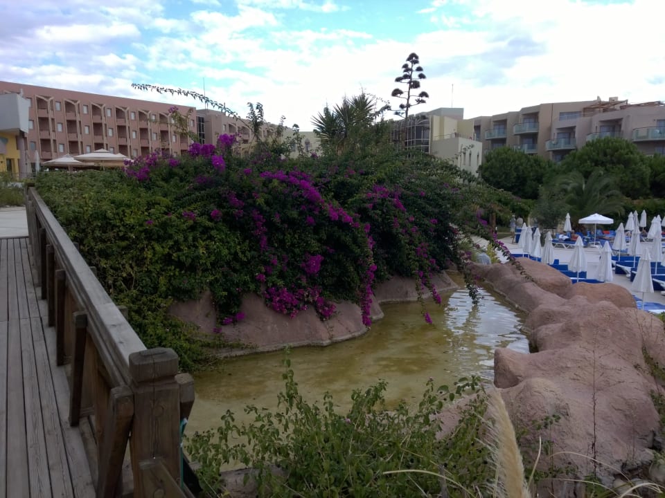 Pool Hotelbereich Blue Waters Club